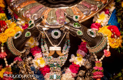 Daily Darshan