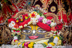 Daily Darshan