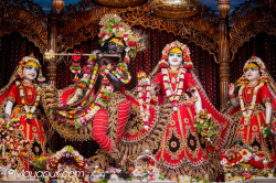 Daily Darshan