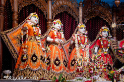 Daily Darshan