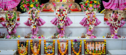 Daily Darshan
