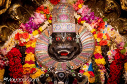 Daily Darshan