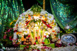 Daily Darshan