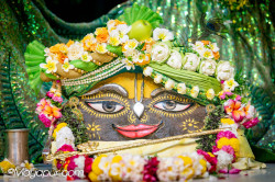 Daily Darshan