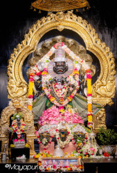 Daily Darshan