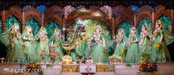 Daily Darshan