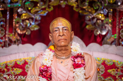Daily Darshan