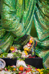 Daily Darshan
