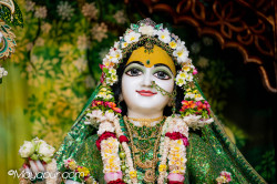 Daily Darshan