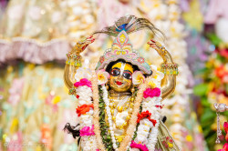 Daily Darshan