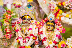 Daily Darshan