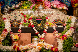 Daily Darshan