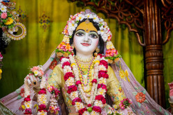 Daily Darshan