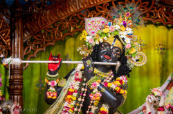 Daily Darshan