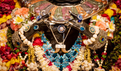 Daily Darshan