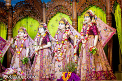 Daily Darshan