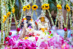 Daily Darshan