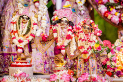Daily Darshan
