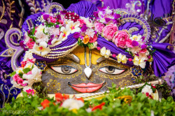 Daily Darshan