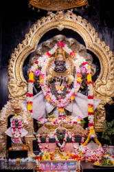 Daily Darshan