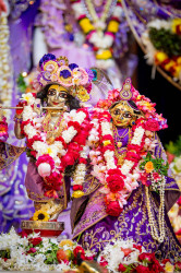 Daily Darshan