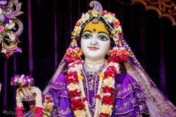 Daily Darshan