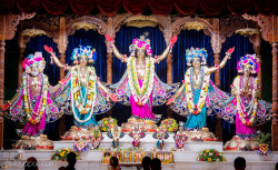 Daily Darshan