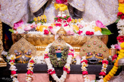 Daily Darshan