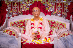 Daily Darshan