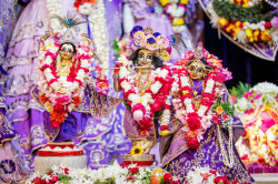 Daily Darshan