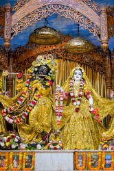 Daily Darshan