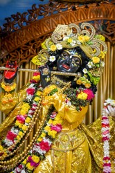 Daily Darshan