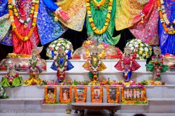 Daily Darshan