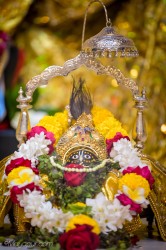 Daily Darshan