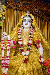 Daily Darshan
