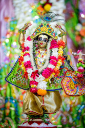 Daily Darshan
