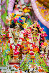 Daily Darshan
