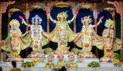 Daily Darshan