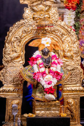 Daily Darshan