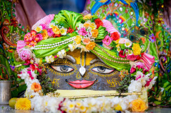 Daily Darshan