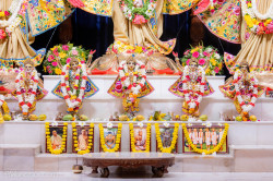 Daily Darshan