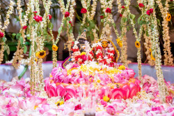 Daily Darshan