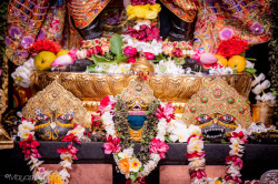 Daily Darshan
