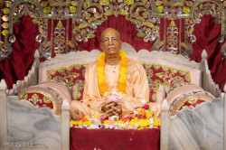 Daily Darshan