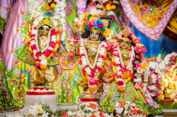 Daily Darshan