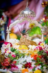 Daily Darshan
