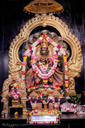 Daily Darshan