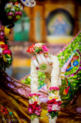Daily Darshan