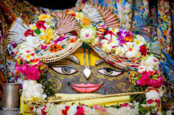 Daily Darshan