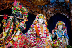 Daily Darshan